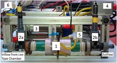 Submarine Groundwater Discharge From Sediments and Sand Boils Quantified by the Mean Residence Time of a Tracer Injection